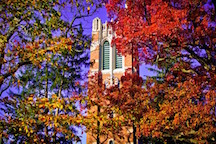Beaumont-Tower-Fall-1-of-1-640x426
